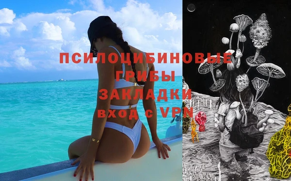 мяу мяу мука Каменногорск