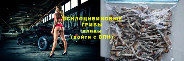 2c-b Карпинск